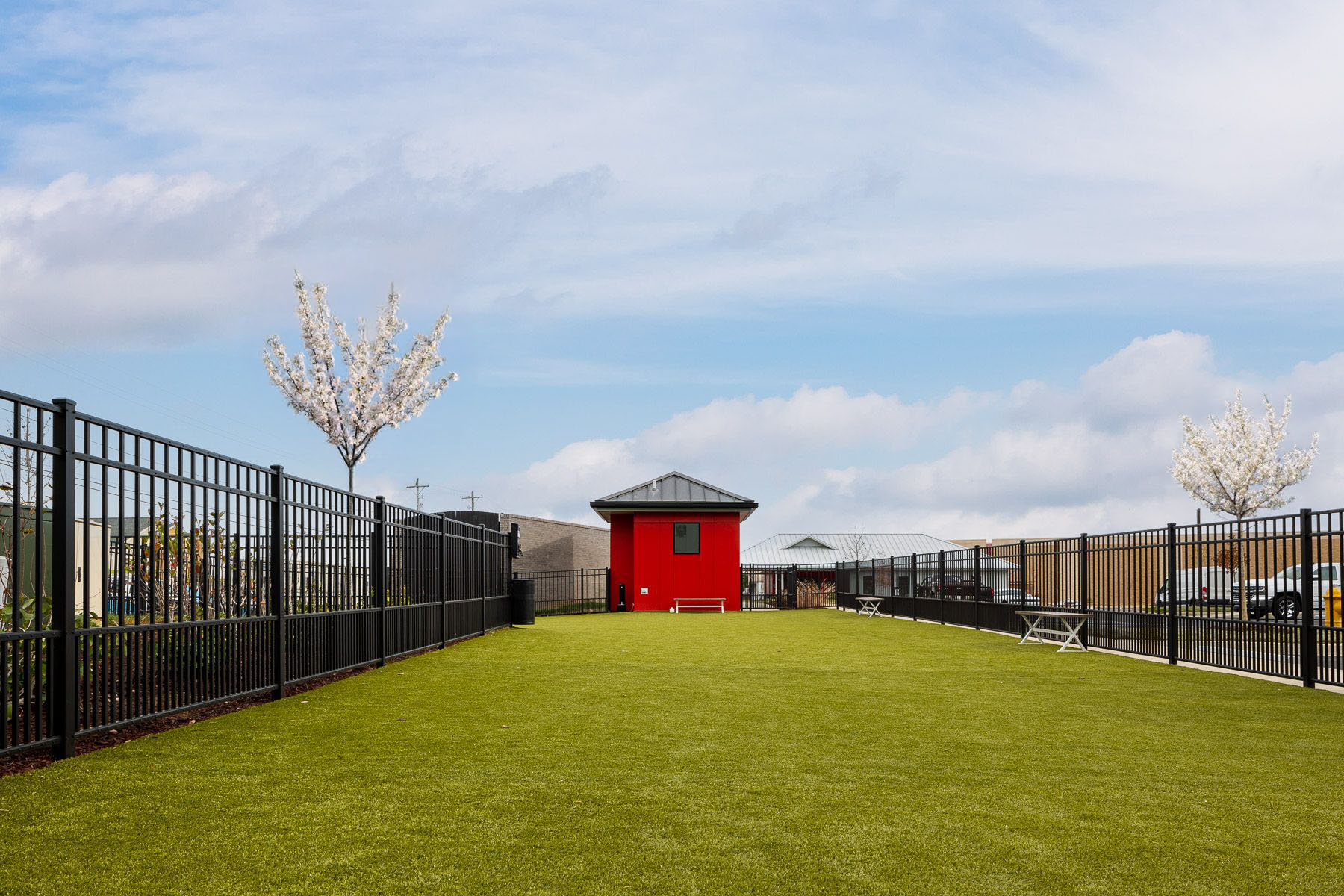Dog Park copy